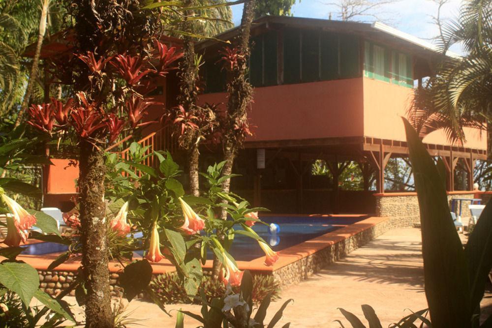 Hotel Perla Negra Puerto Viejo de Talamanca Exterior foto